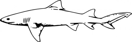 Lemon Shark clip art Vector clip art - Free vector for free download