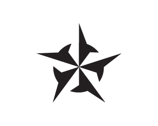 35+ Impressive Star Logo Design Inspiration