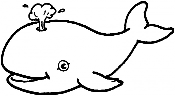 Whale outline clip art