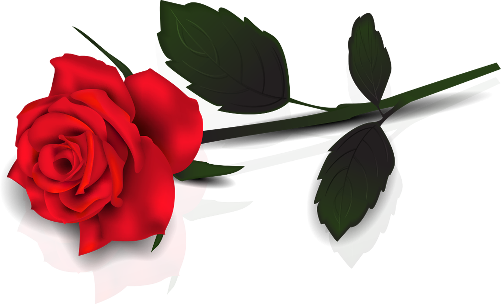 clipart rose red flower - photo #43