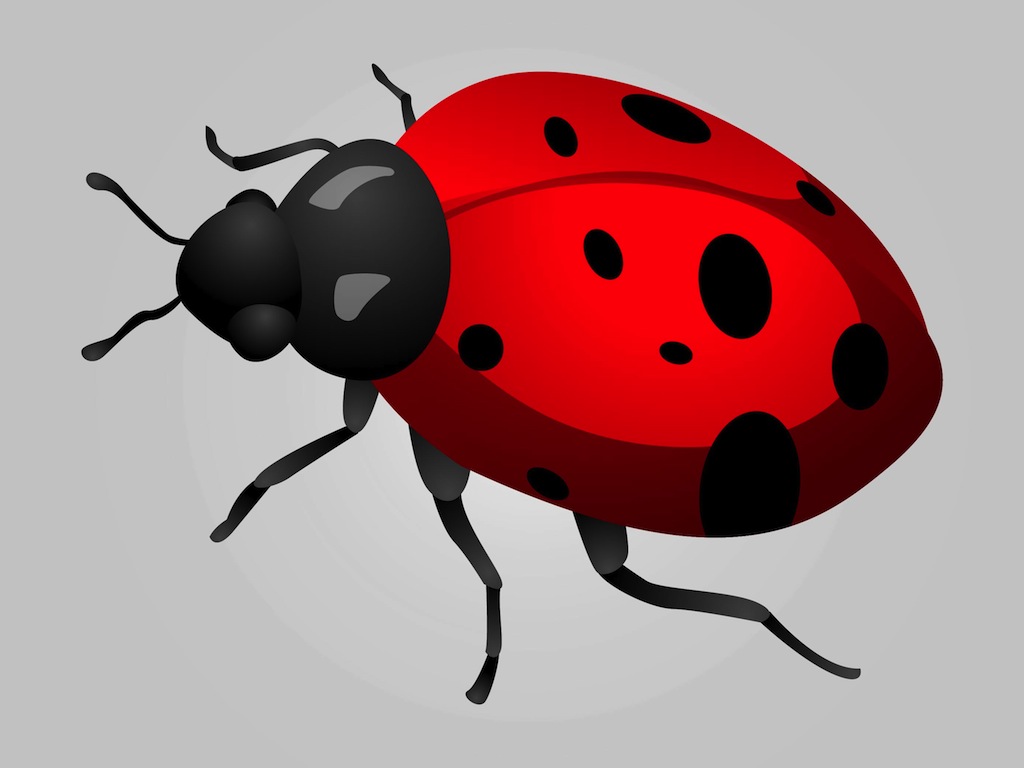Free Ladybug Vectors