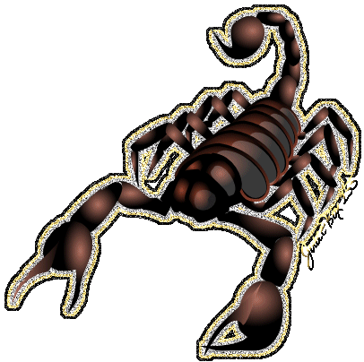 Scorpion Animal Gif. - ClipArt Best