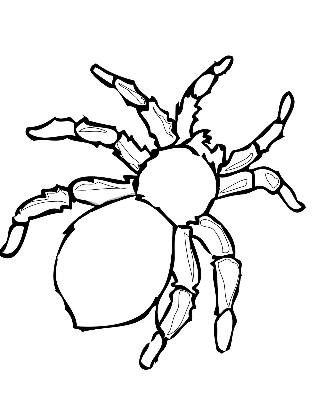 Spider Outline Printable ClipArt Best
