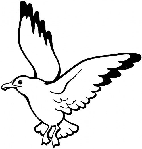 free clip art seagull cartoon - photo #41