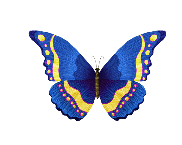 Butterflies for cartoon on Behance