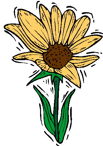 Clip Art - Clip art sunflower 770680