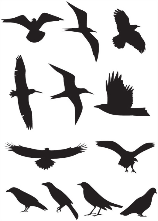 3 Sets of free vector birds silhouettes
