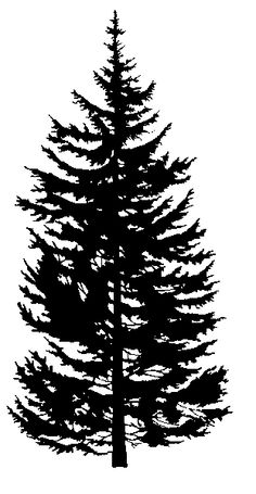 Tree Silhouette Tattoo | Family Tree Tattoos, Tree Tatto…