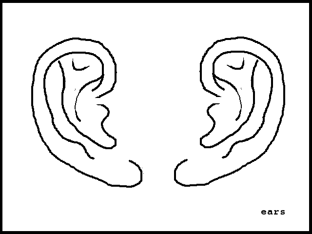 the ears will have to be simplified. Nevertheless, when I start modeling the ears, I will use a drawing like the one below for reference, showing both ears at the same time.