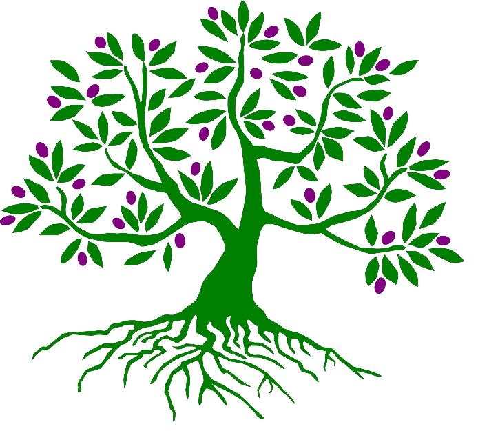 clip art olive tree - photo #14