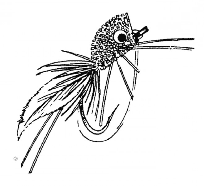 fly fish clip art - photo #32