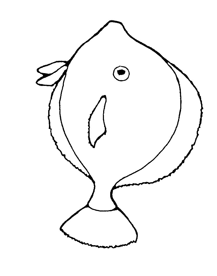 cartoon fish clipart black and white - photo #47