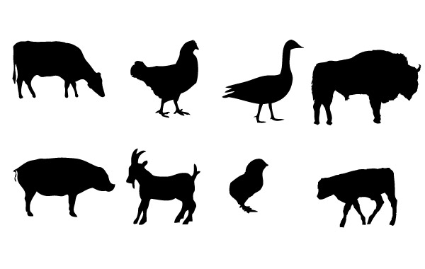 Farm animals Vector graphics - Vector download