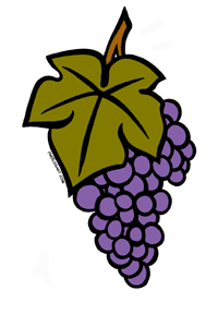 Grape Vine Clipart