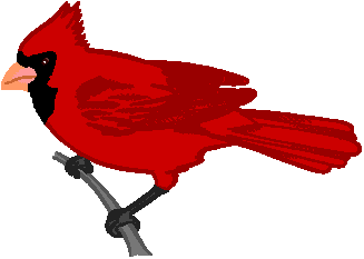 Cardinals Clip Art