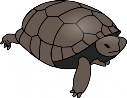 Turtle clip art - Download free Other vectors