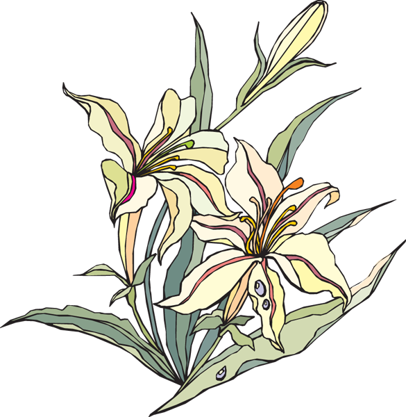 easter lilies free clipart - photo #32