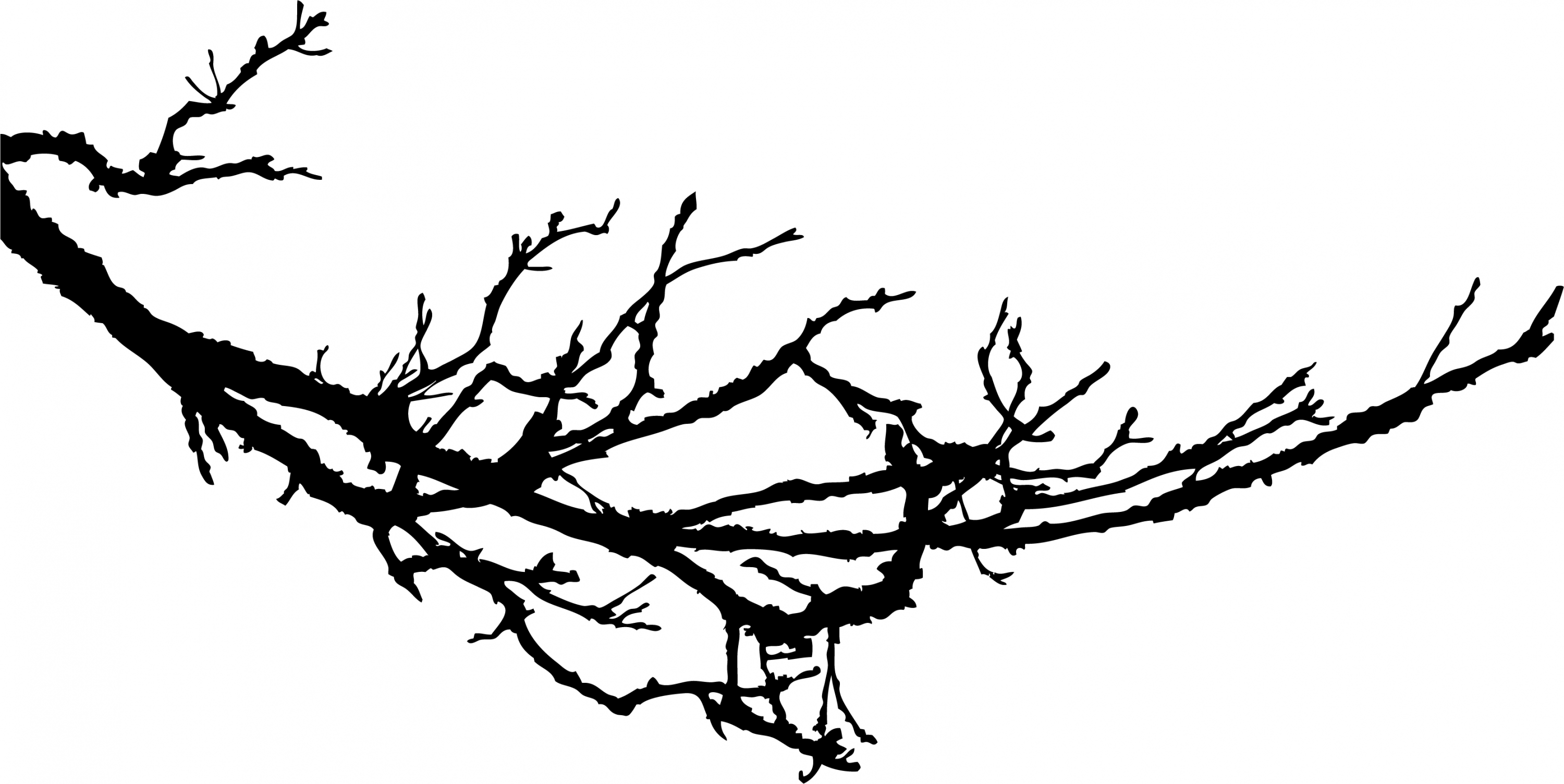 Gnarly Branch Silhouette Wall Sticker Large Tree Sticker Wall ...