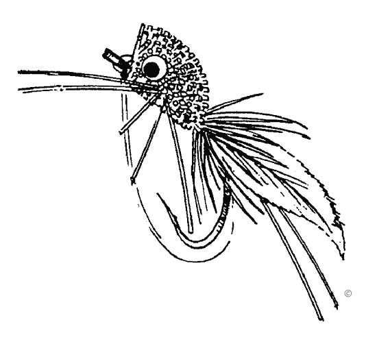 fishing fly clip art free - photo #14