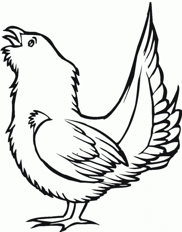 Bird Coloring Pages For Kids | Free coloring pages for kids