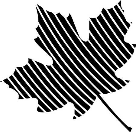 Stock Illustration - maple leaf with busy stripes, black and white