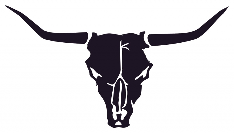 Cow Skull Drawing - ClipArt Best