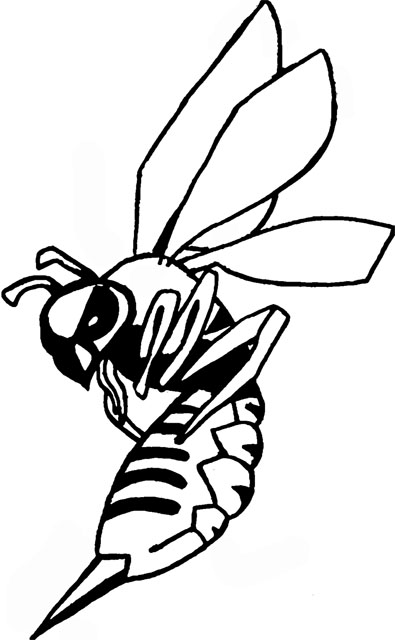 On Second Thought: Sac State's logo - The State Hornet: Sports