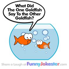 Funny, Cartoon and Jokes