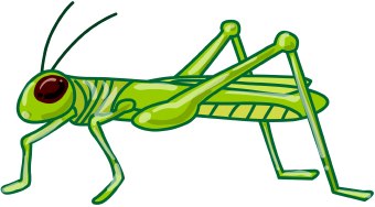 Grasshopper clipart images