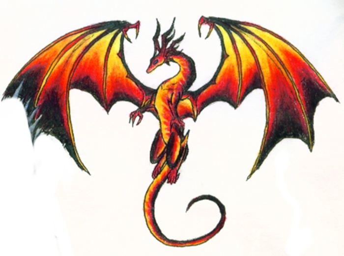 1000+ images about Fire dragon tattoo