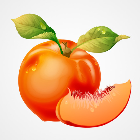 Nectarine Clipart | Free Download Clip Art | Free Clip Art | on ...