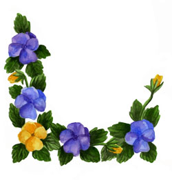 Pansy Border Clipart
