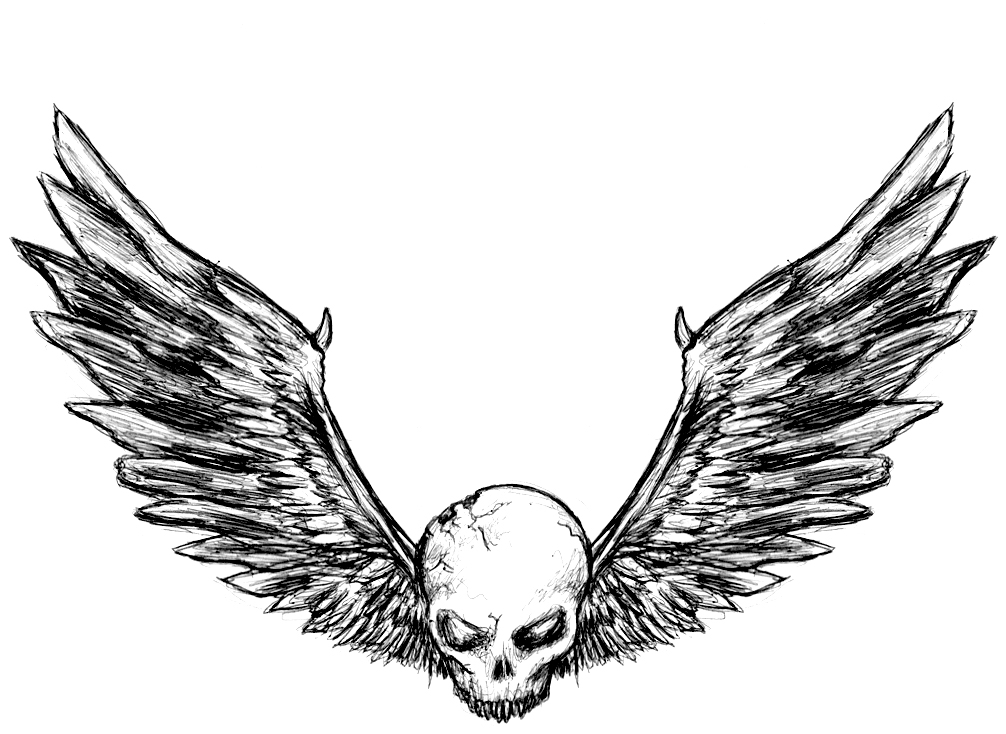 Skull With Angel Wings - ClipArt Best