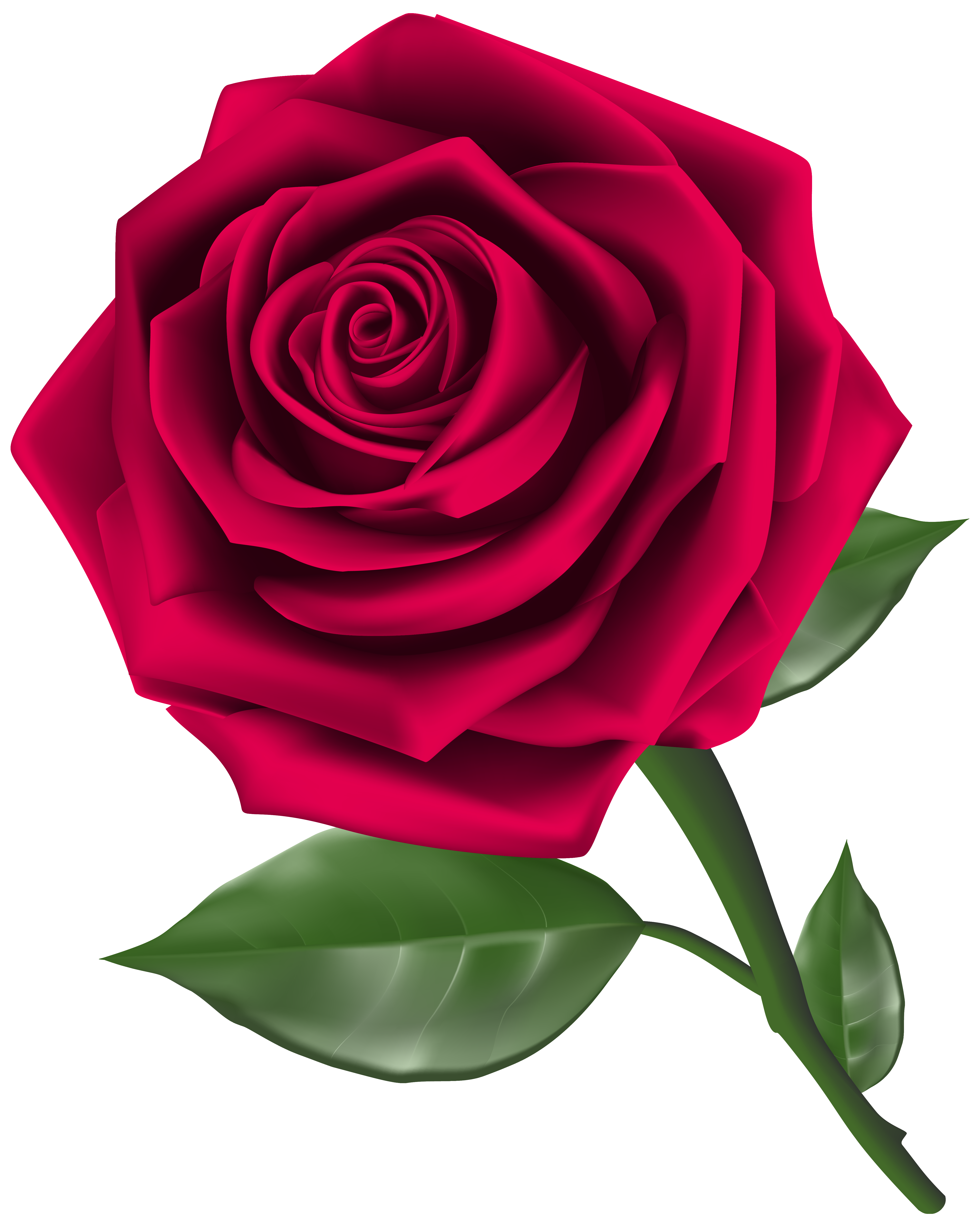 Clip art roses with thorns and dead vines free 2 - Clipartix