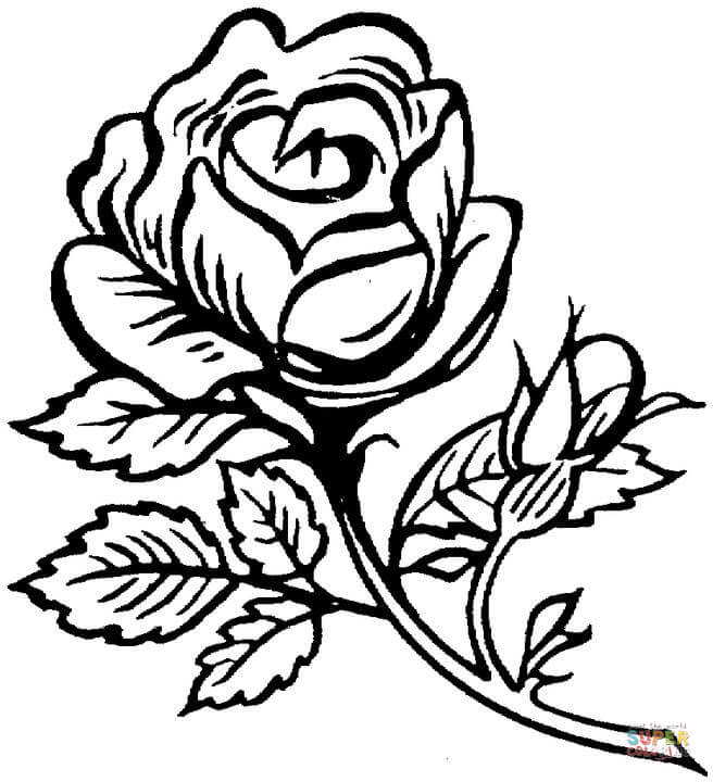 Roses coloring pages | Free Coloring Pages