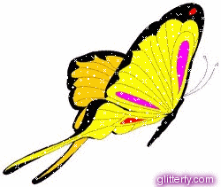 Butterfly Animations for Princesses
