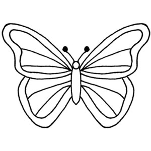 Butterfly & Insect Outlines and Patterns - Polyvore