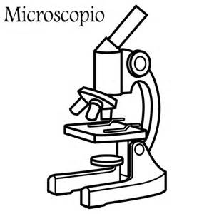 Parts Of A Microscope Coloring Sheet - Google Twit