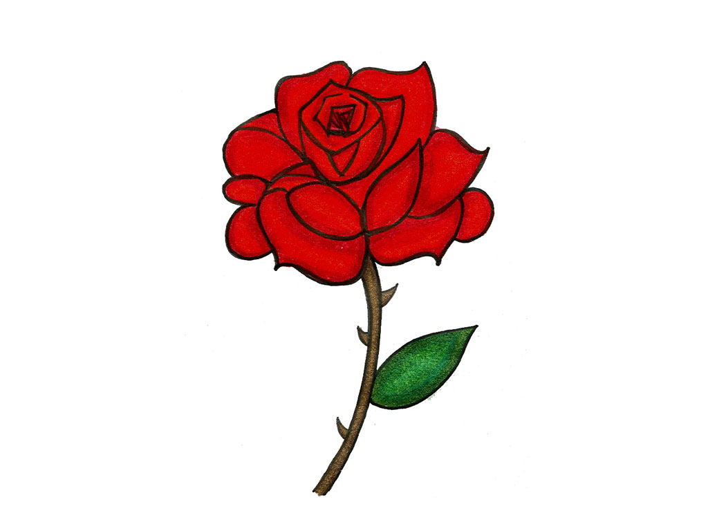 Red Roses Drawings - Drawing Art Collection