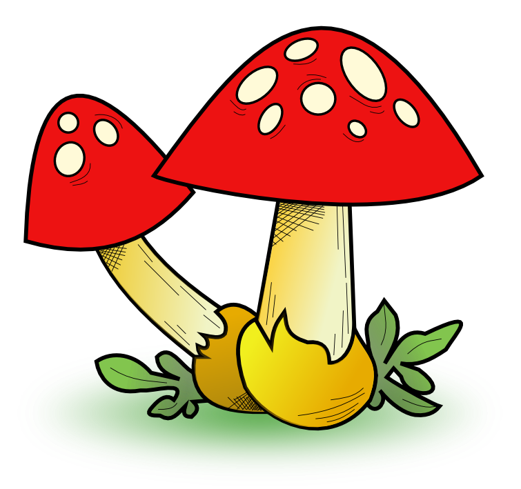 Colorful mushroom clipart