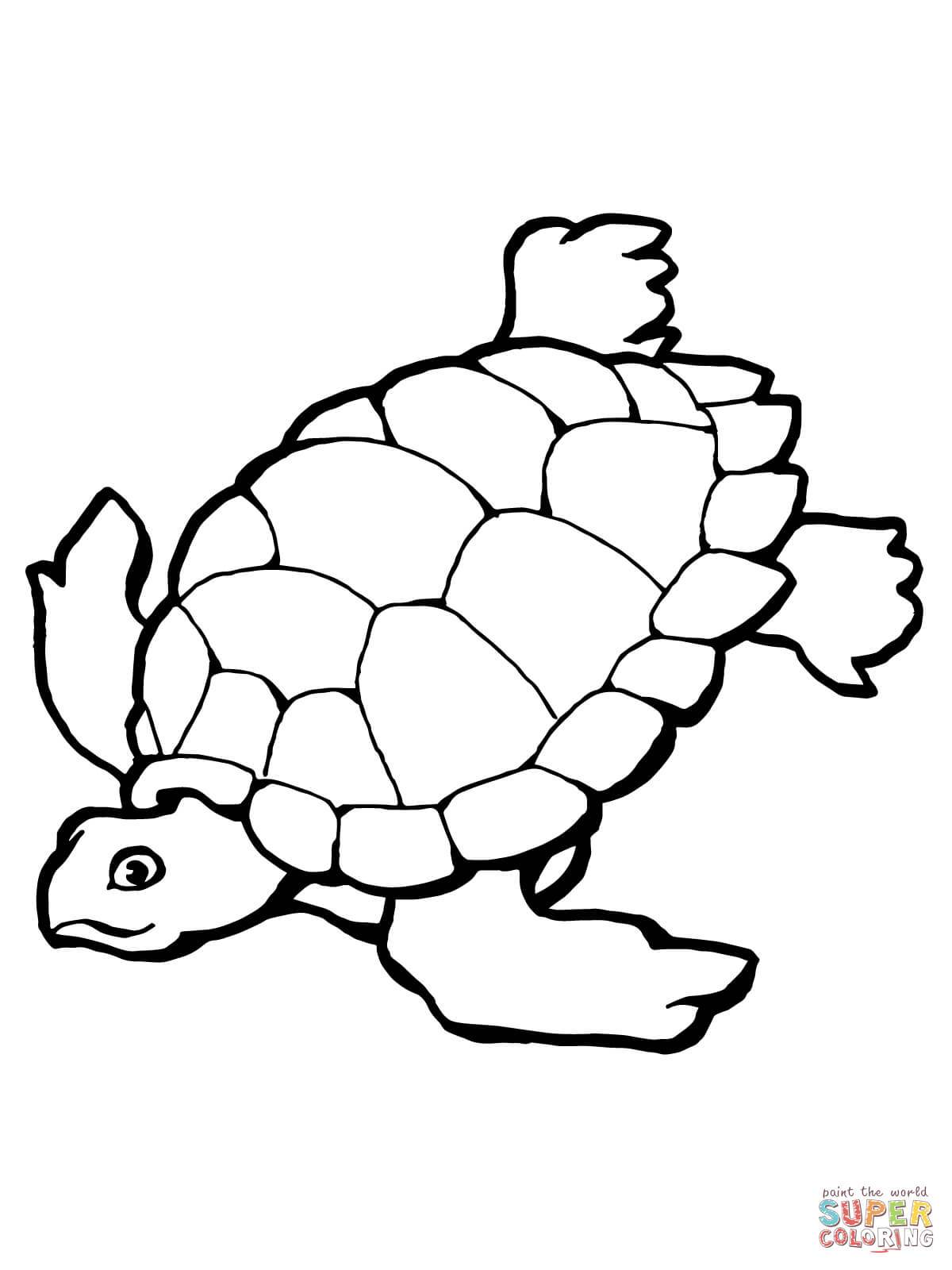 Pictures Of Turtles To Color. free printable turtle coloring pages ...