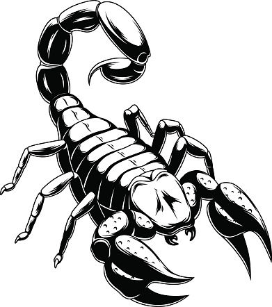 Silhouette Of A Scorpion Art Clip Art, Vector Images ...