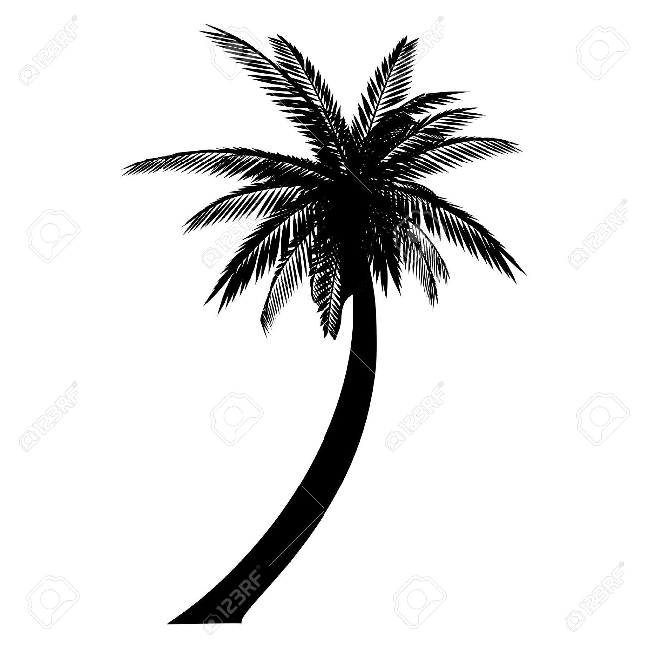 palm tree clipart no background - photo #29