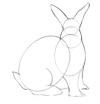 How to Draw Bunny Ears, Feet and Tail