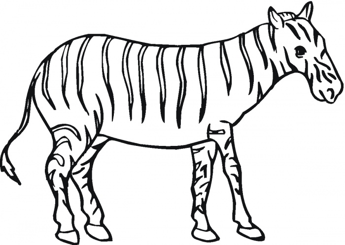 Zebras coloring pages | Super Coloring