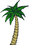 1-palm-tree-5.gif