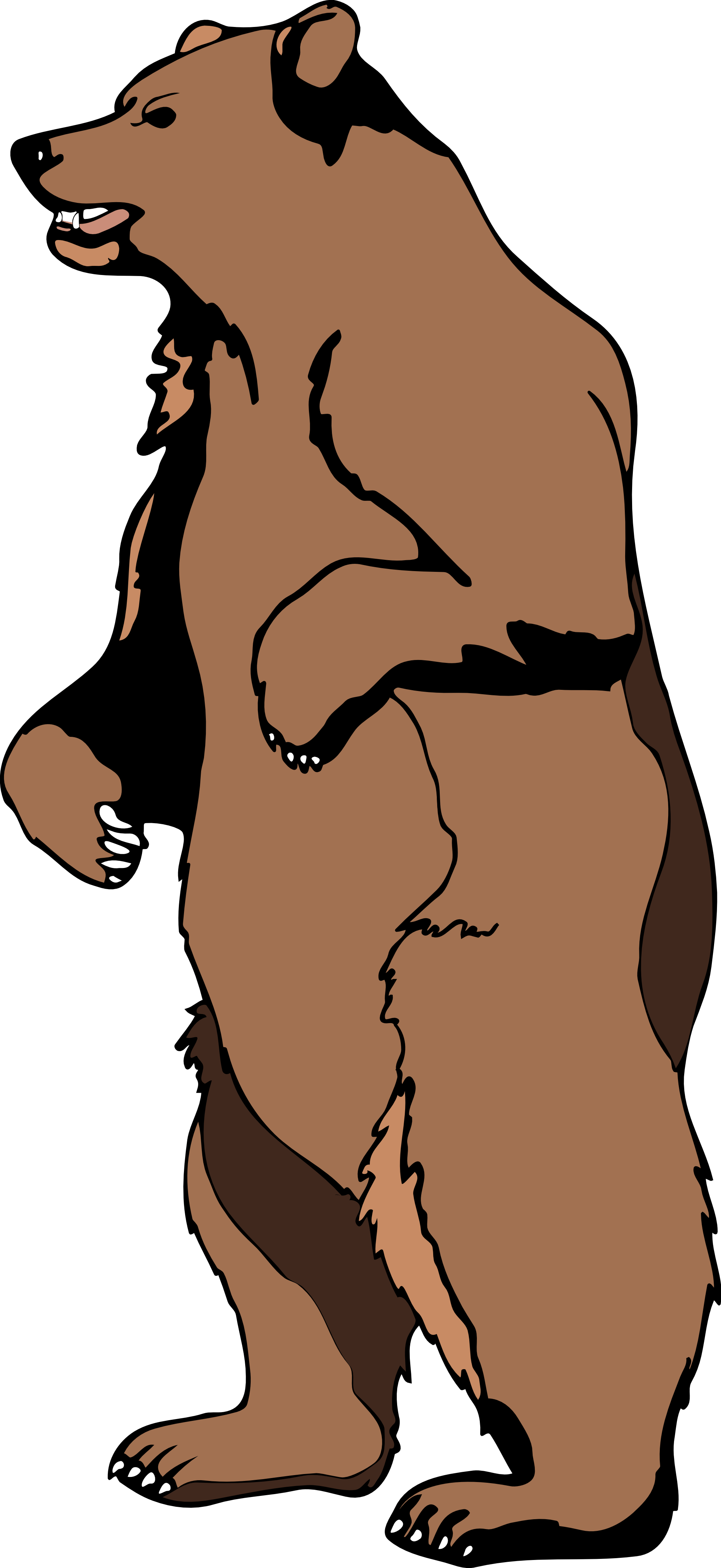 Grizzly Bear Cartoon Clipart