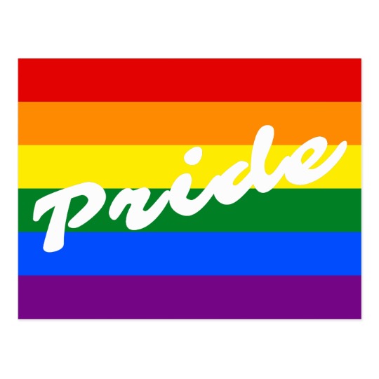 Pride Logo LGBT 6-Stripe Rainbow Gay Pride Flag Postcard | Zazzle