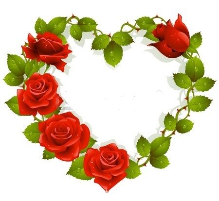 1000+ images about Roses rouges que j aime et autres bouquets ...
