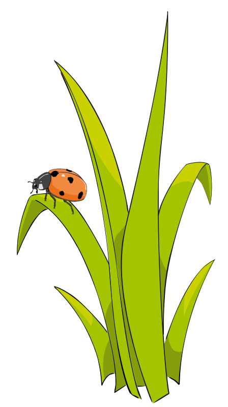 Free to Use & Public Domain Grass Clip Art